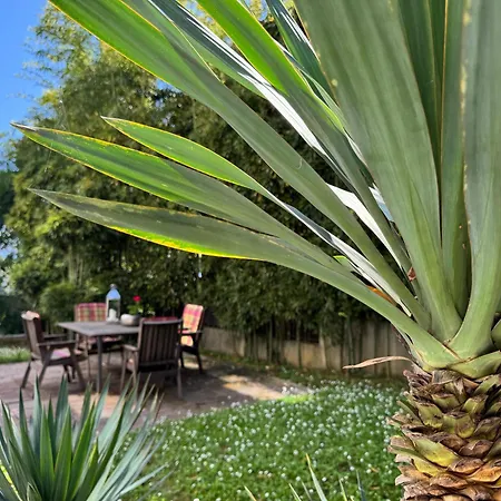 Marjanovic Appartamento