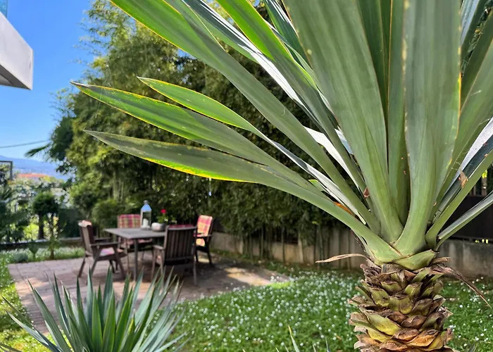 Marjanovic Apartament